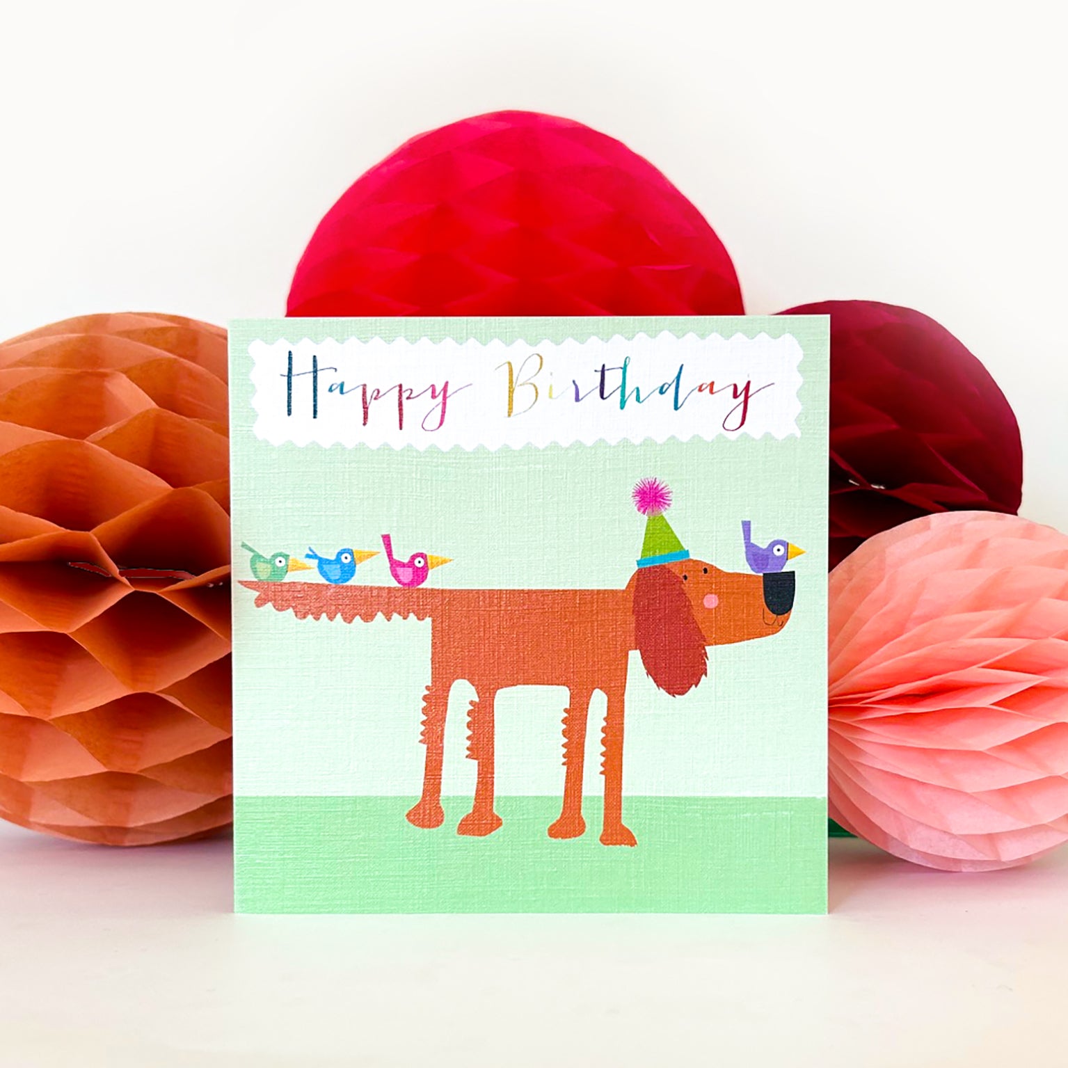 BDG04 setter happy birthday card