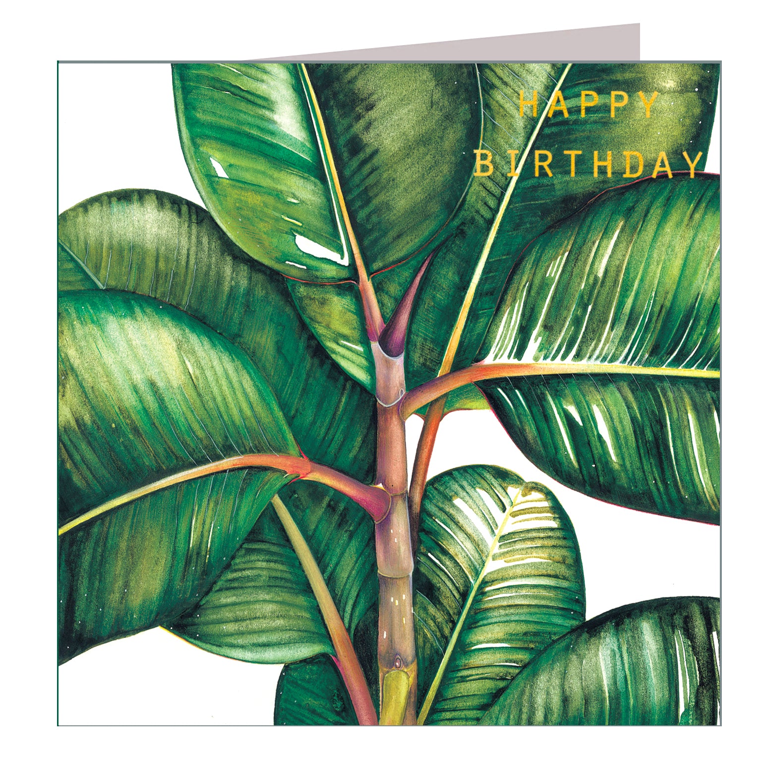GBT01 gold foiled ficus benghalesis birthday card