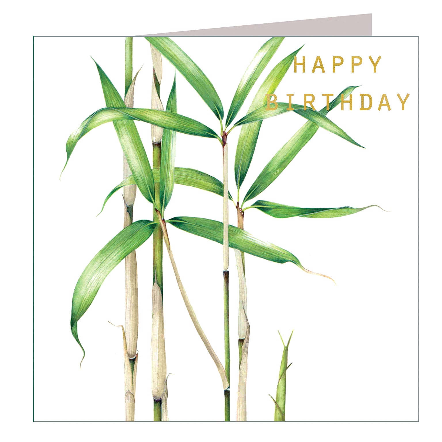 GBT02 gold foiled bamboo birthday card