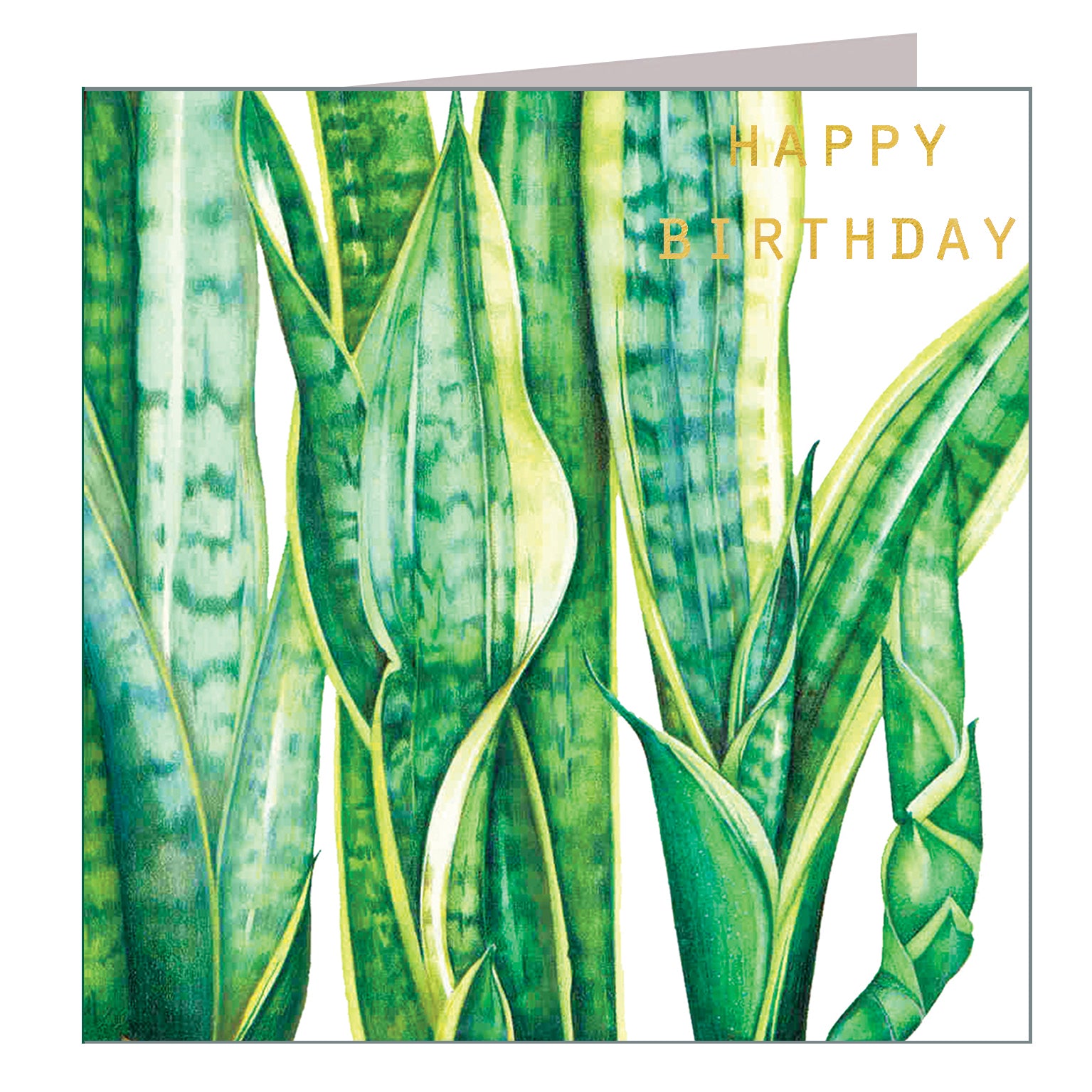 GBT06 gold foiled mother-in-laws tongue birthday card