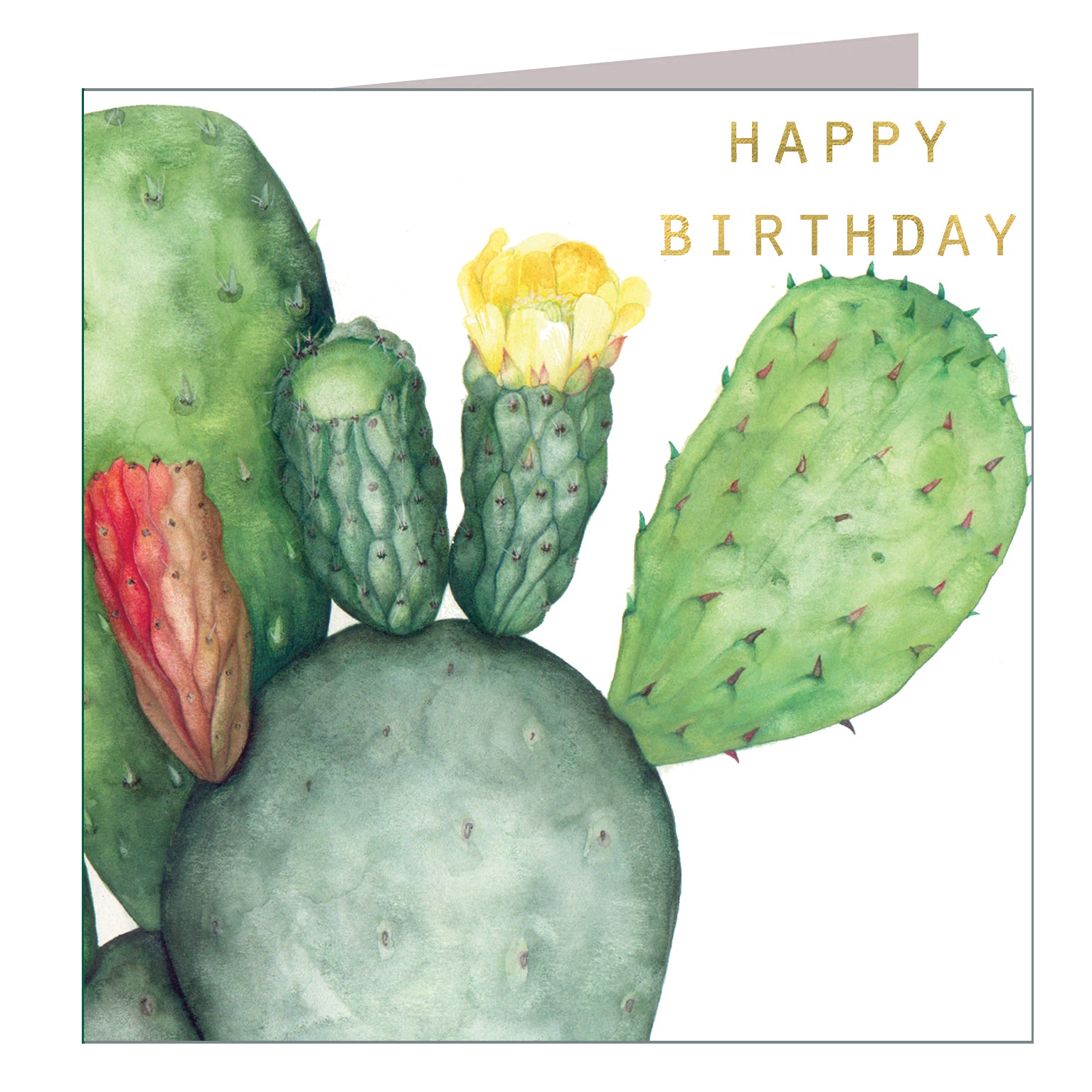 GBT07 gold foiled prickly pear birthday card