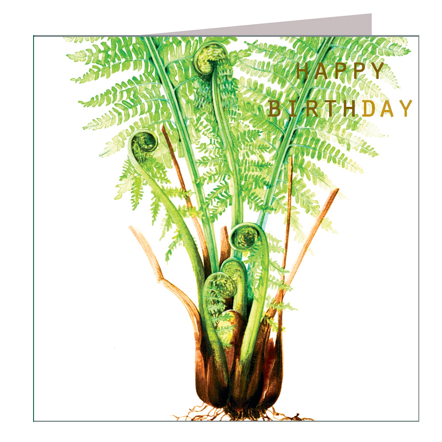 GBT08 gold foiled fern birthday card