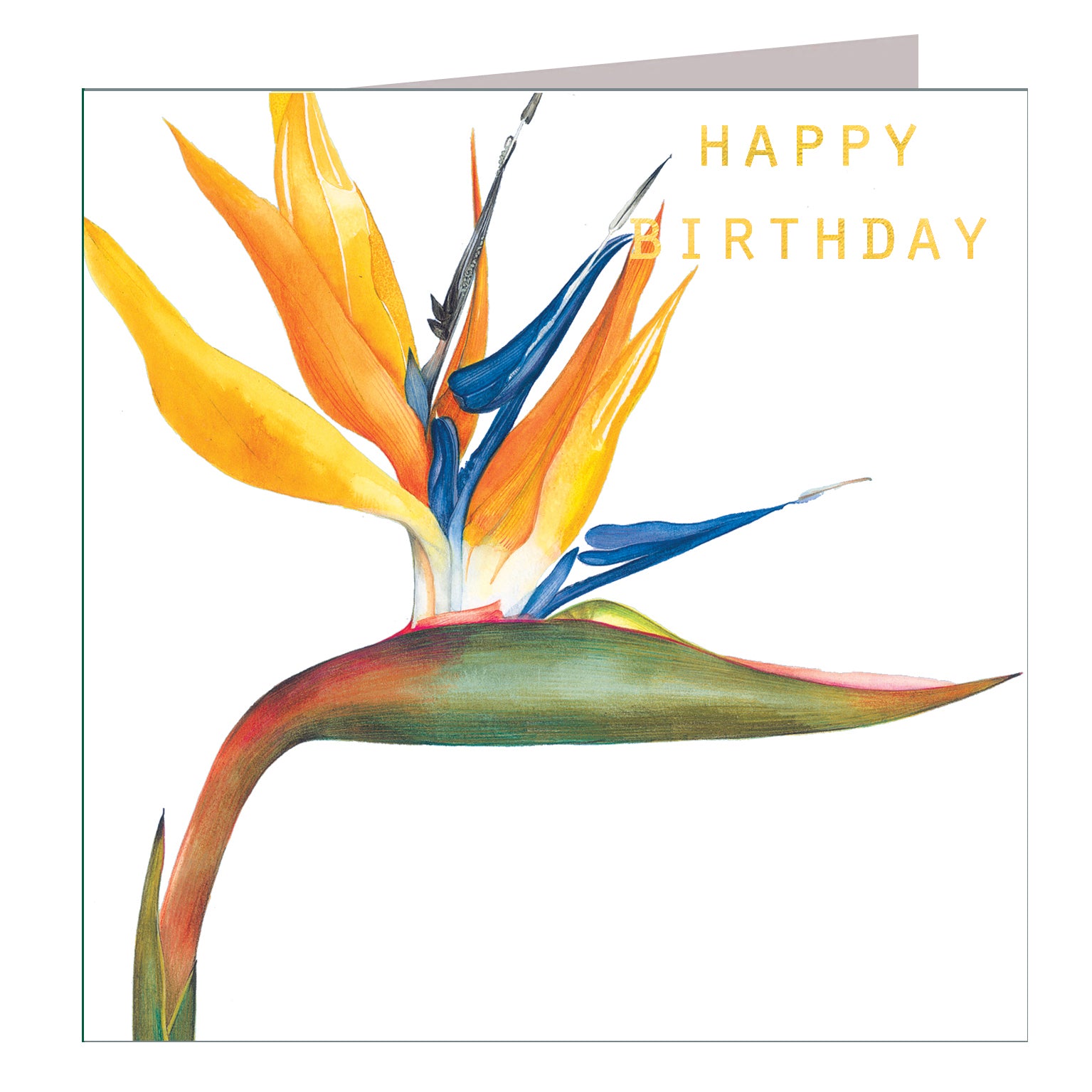 GBT09 gold foiled bird of paradise birthday card