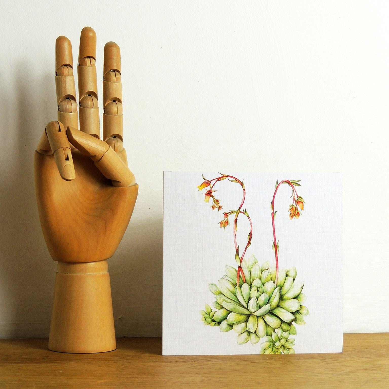 BT16 echeveria greetings card