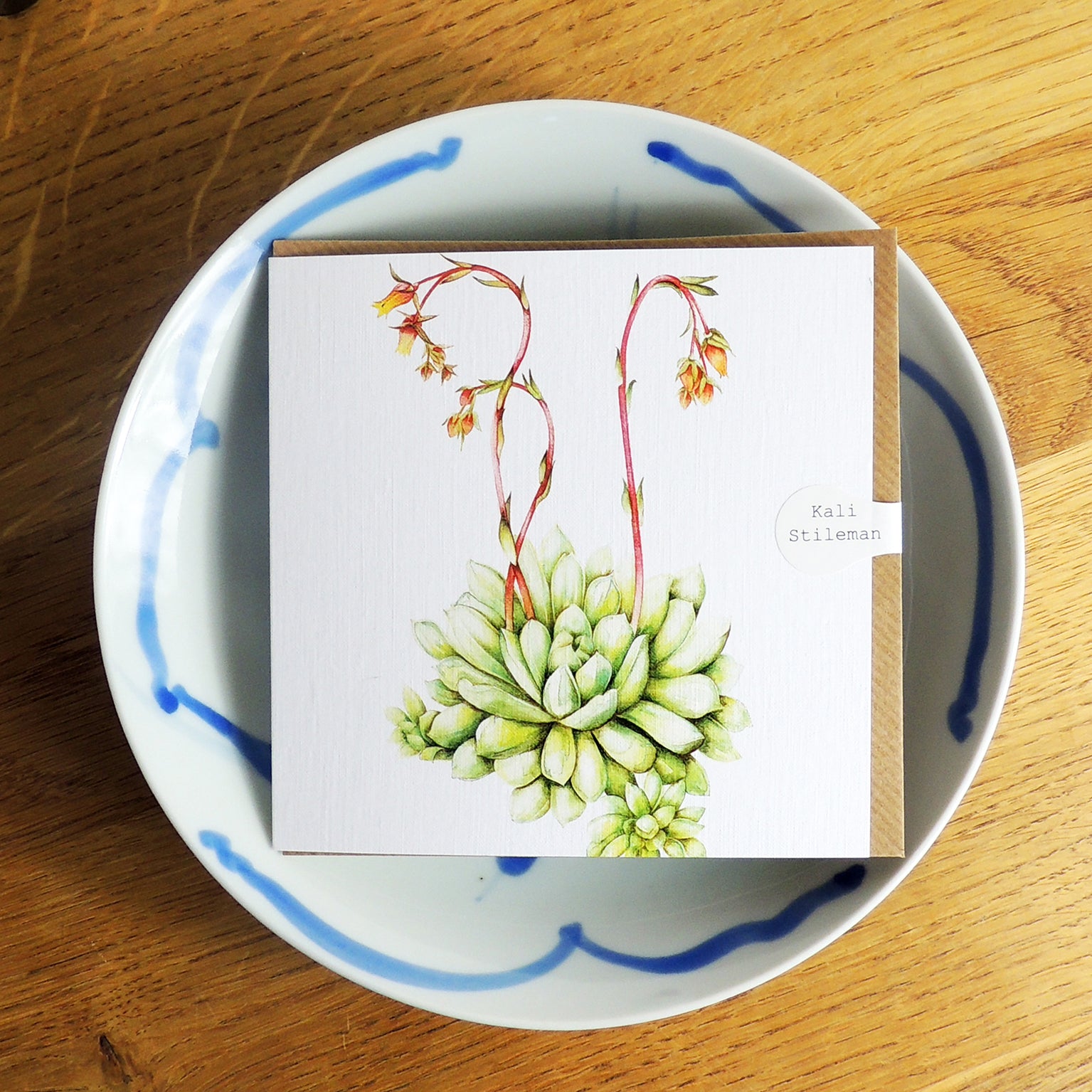 BT16 echeveria greetings card