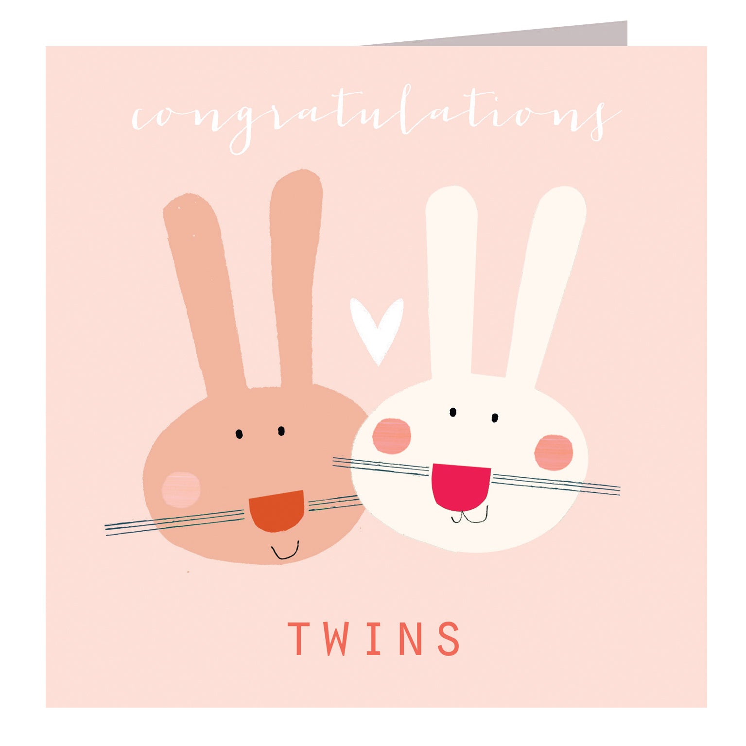 NB45 baby bunnies twins card