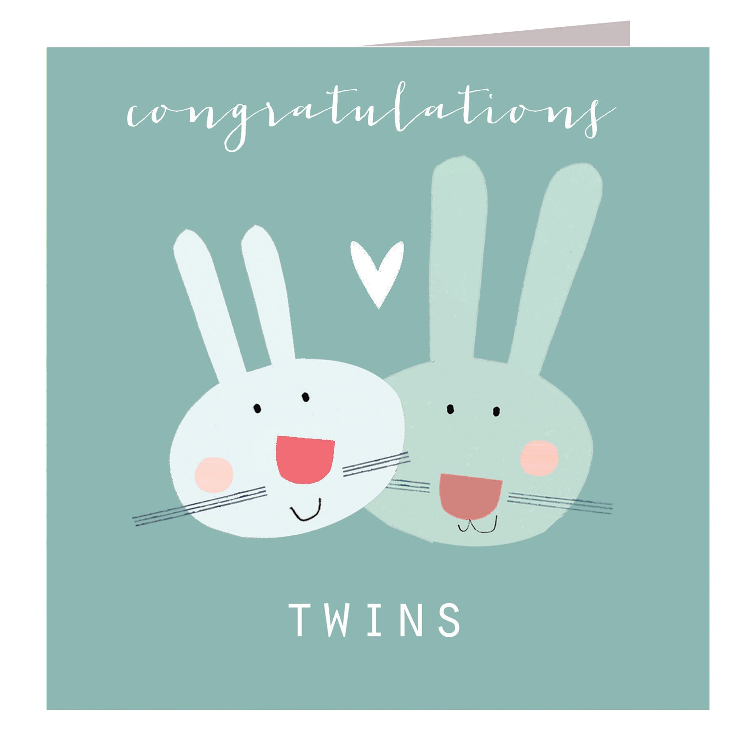 NB46 baby bunnies twins card
