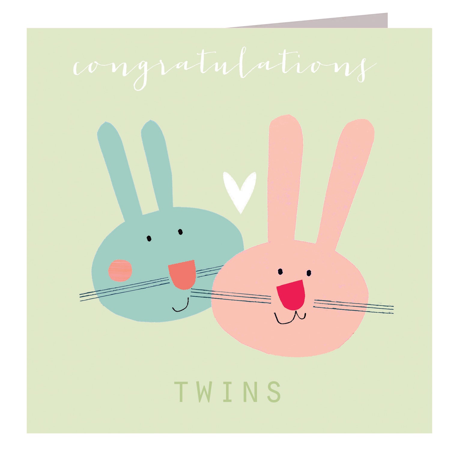 NB47 baby bunnies twins card