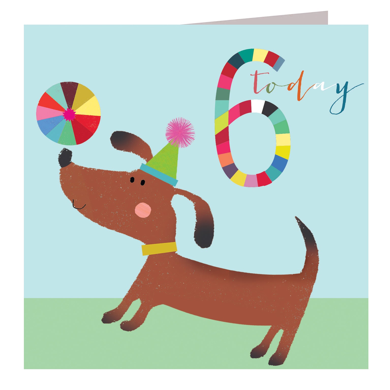 NK06 dog & ball 6th birthday card