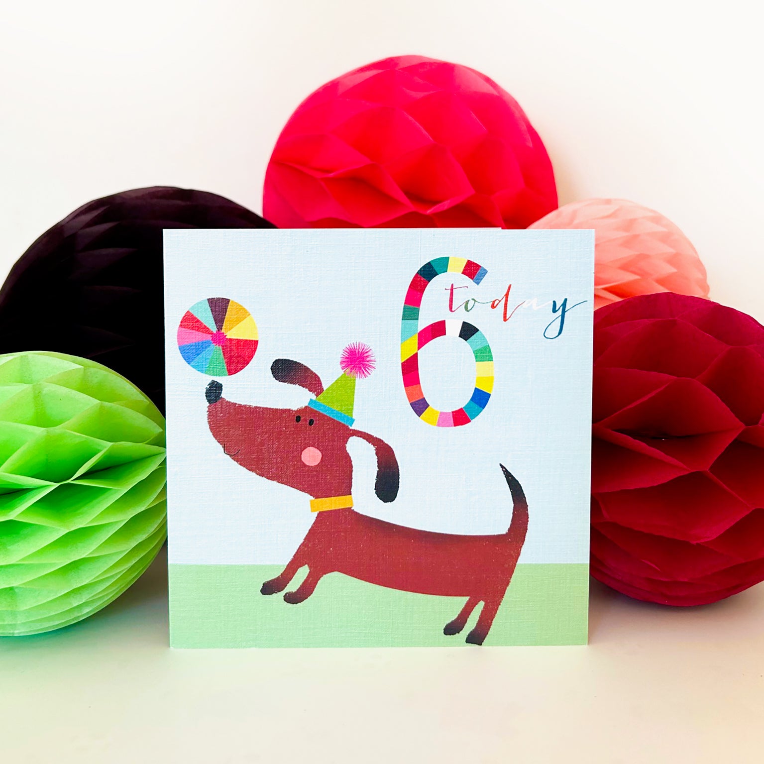 NK06 dog & ball 6th birthday card