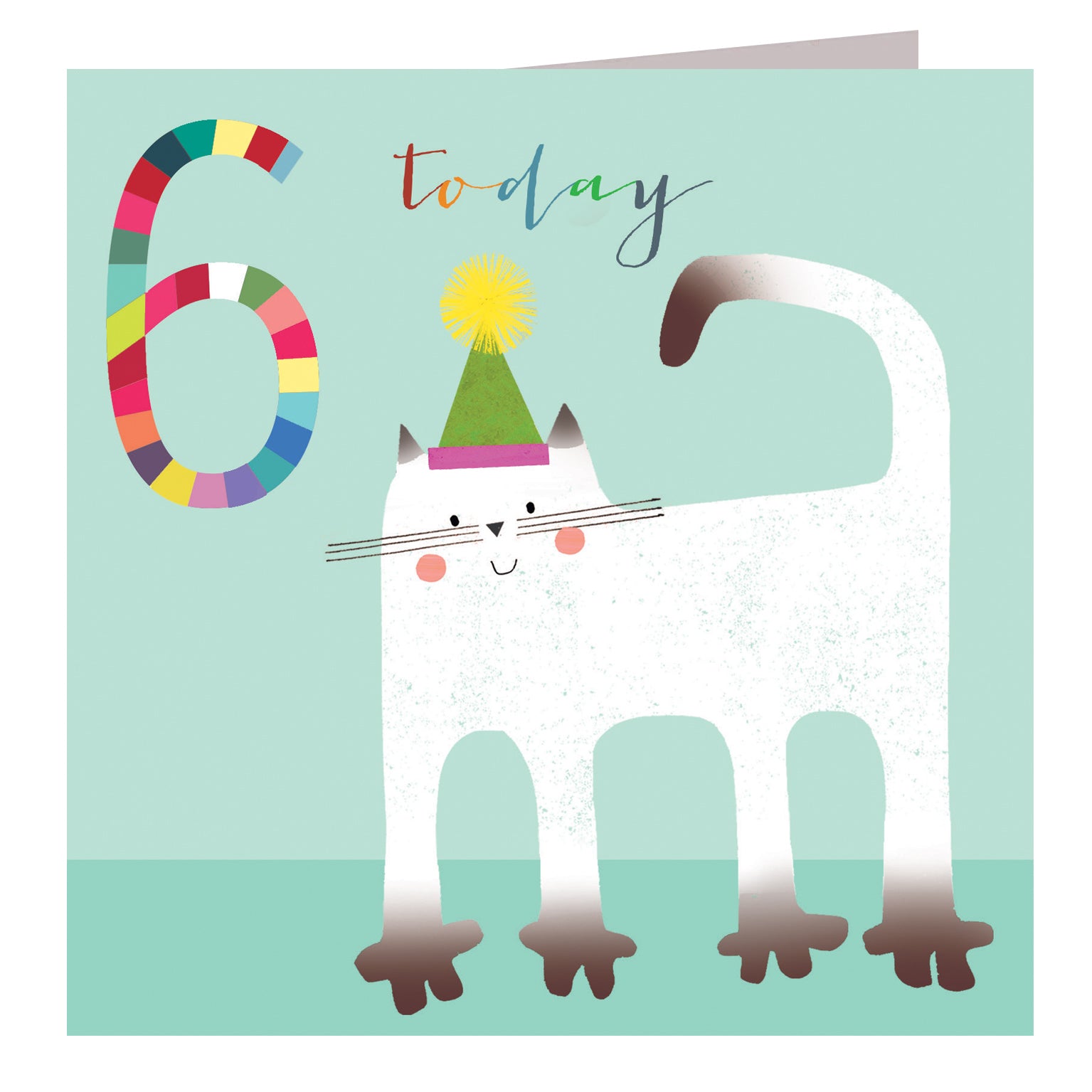 NK14 cat 6th birthday card