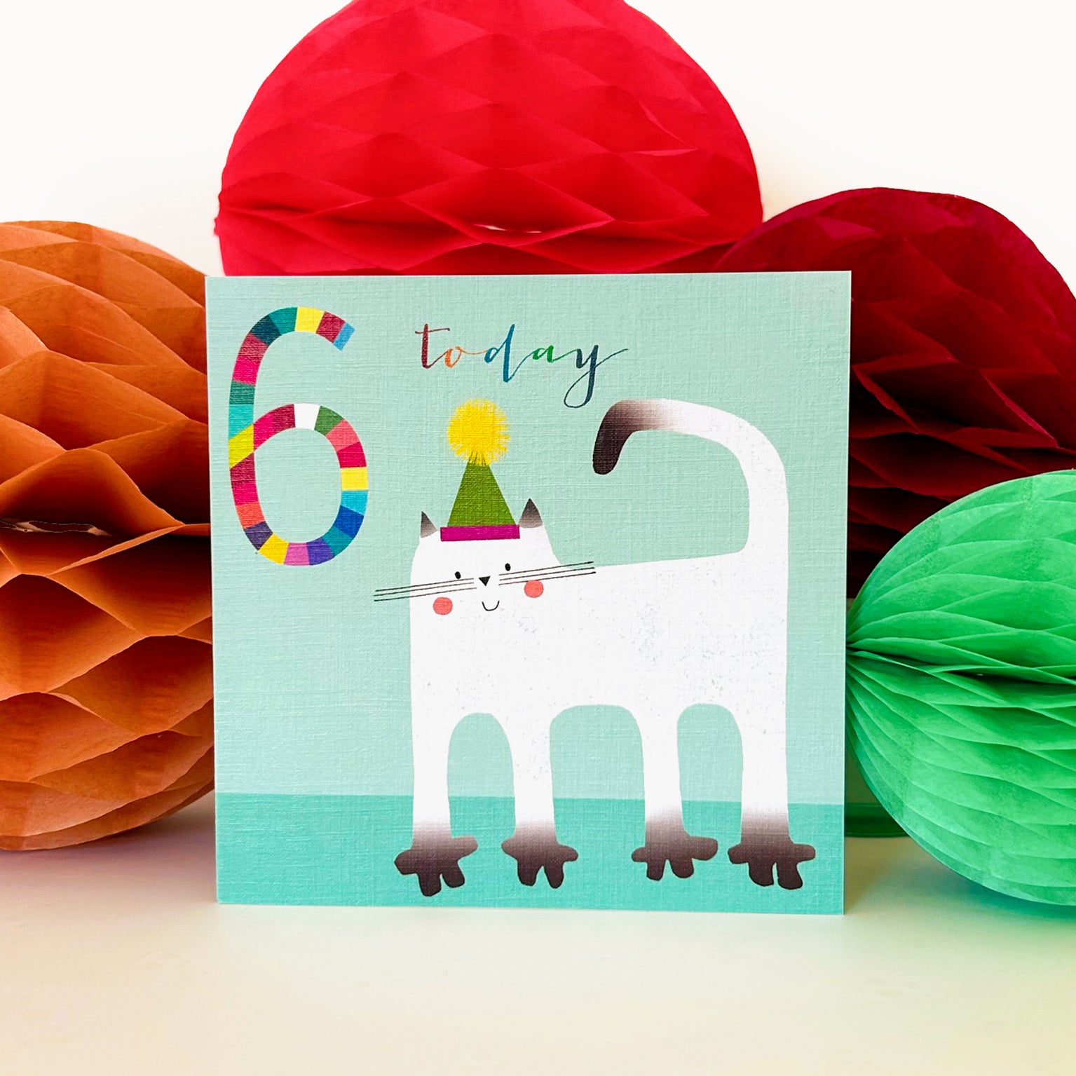 NK14 cat 6th birthday card