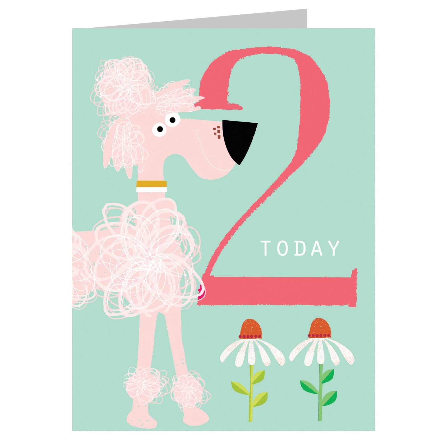 NTW08 mini pink poodle 2nd birthday card