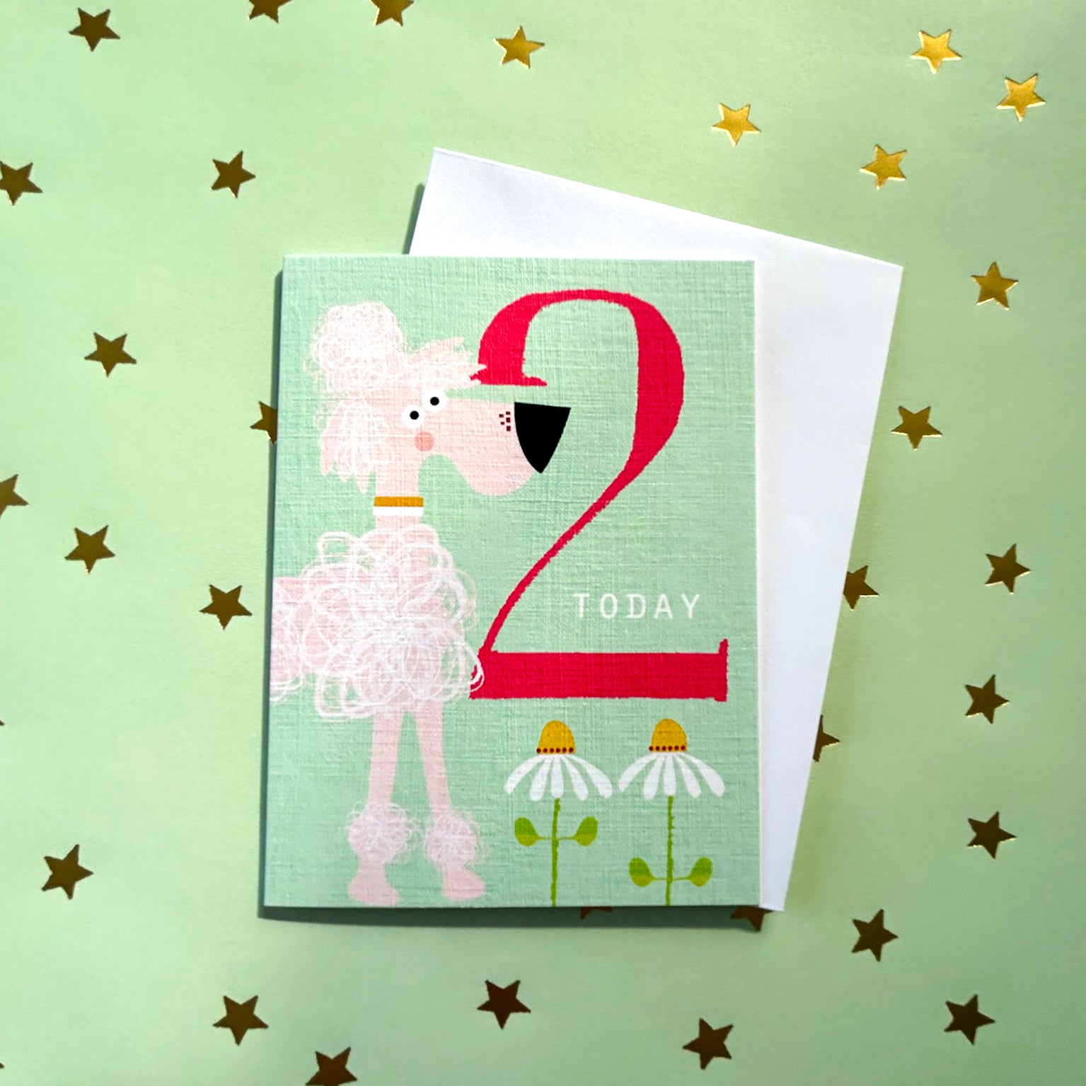 NTW08 mini pink poodle 2nd birthday card