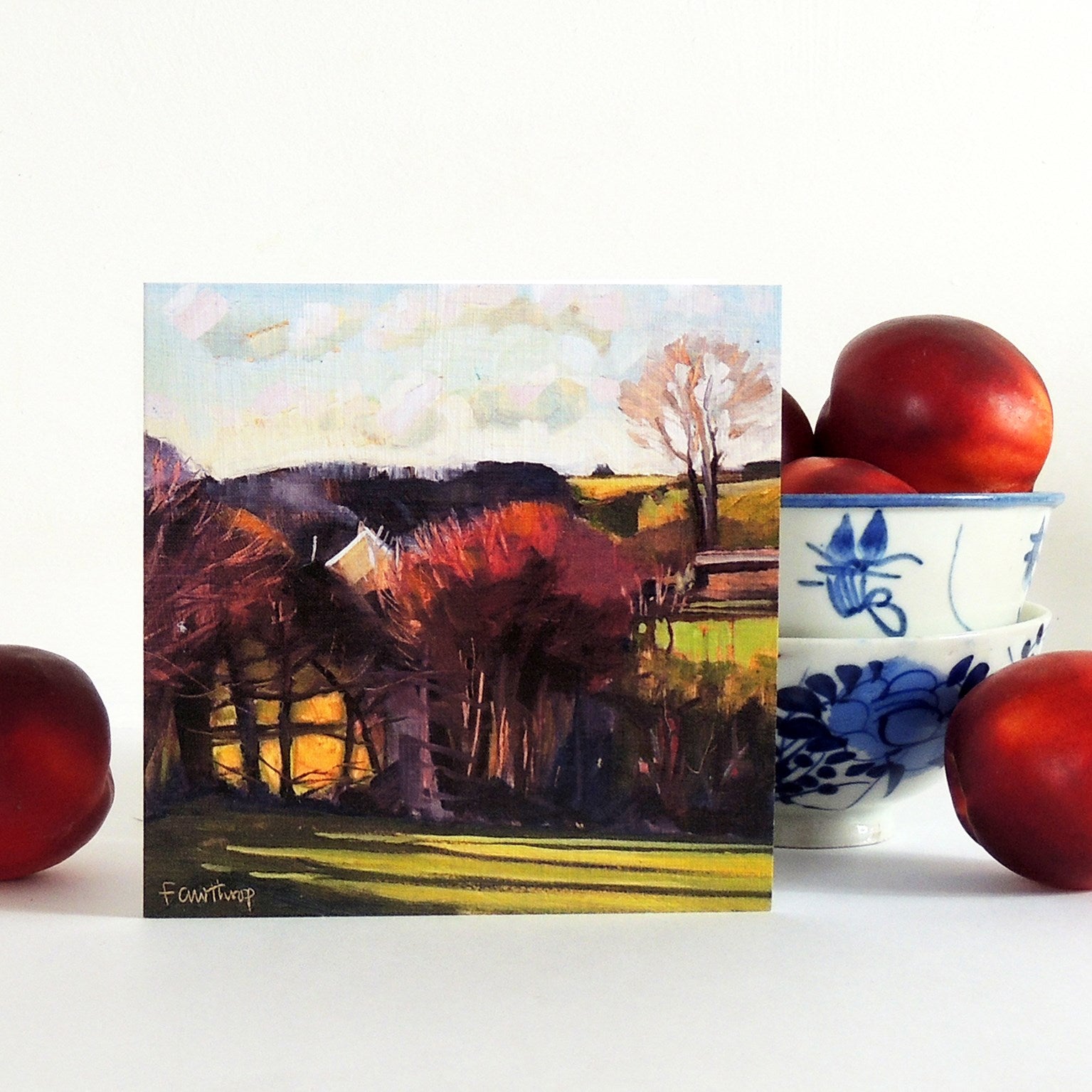 SF04 view from my garden, Dorset greetings card