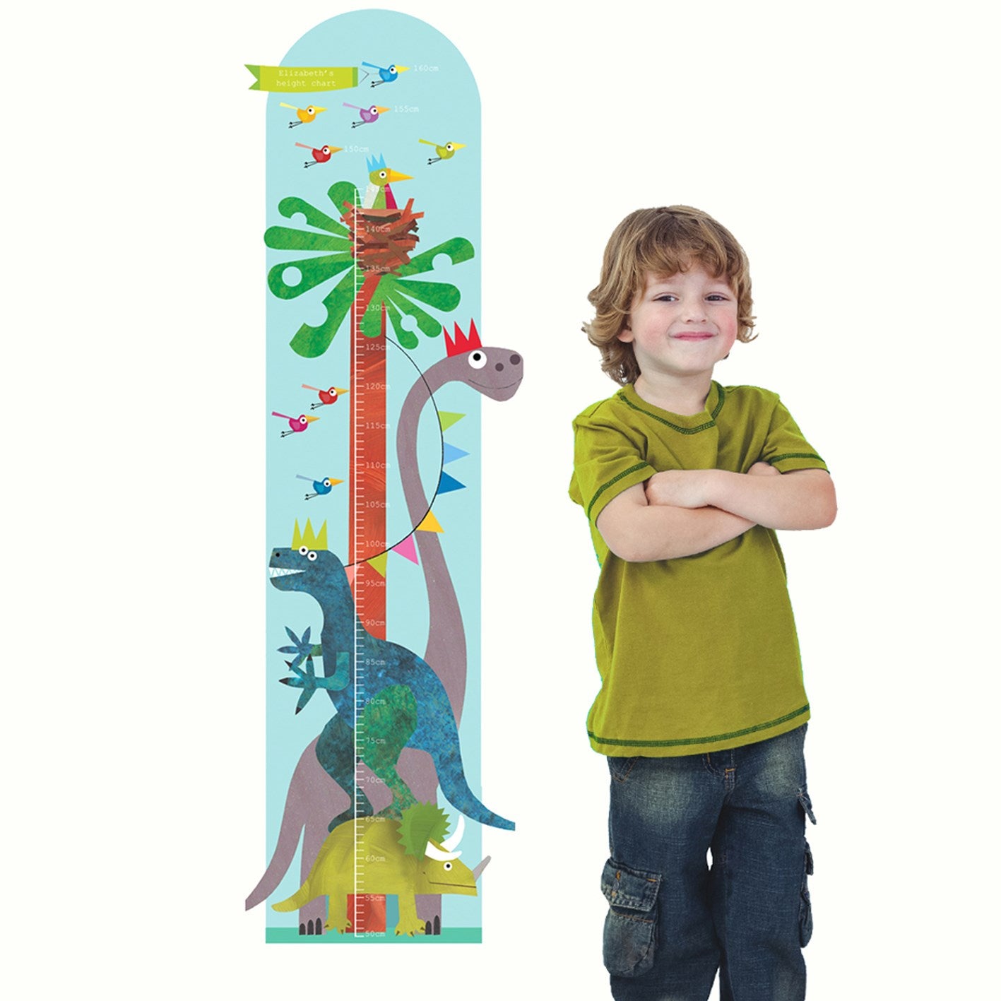 ST06 personalised dinosaur height chart