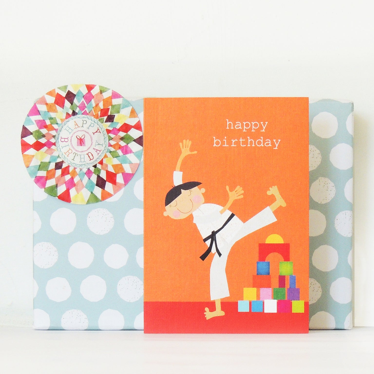 TB18 martial arts happy birthday card