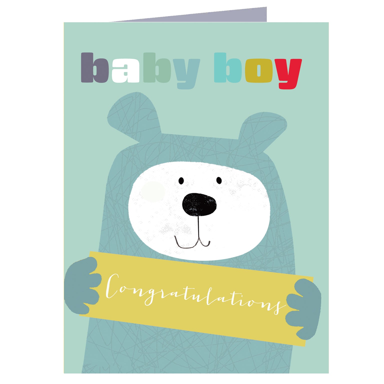 TW431 mini baby boy card