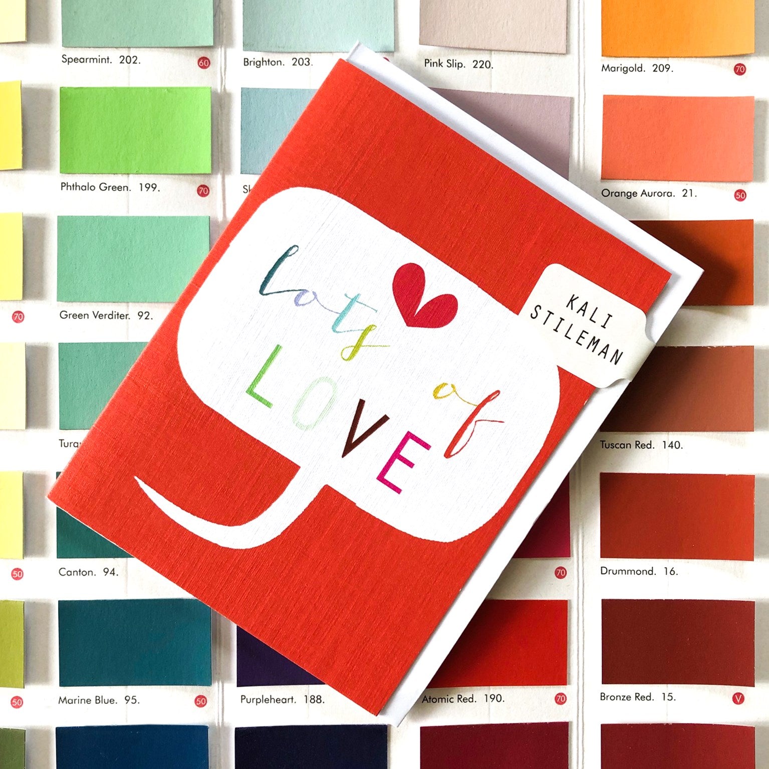 TWB13 mini lots of love card