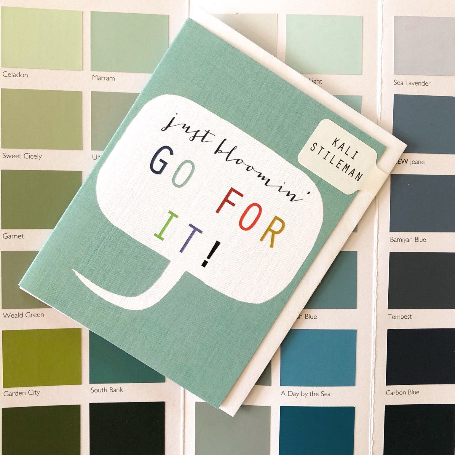 TWB26 mini go for it card