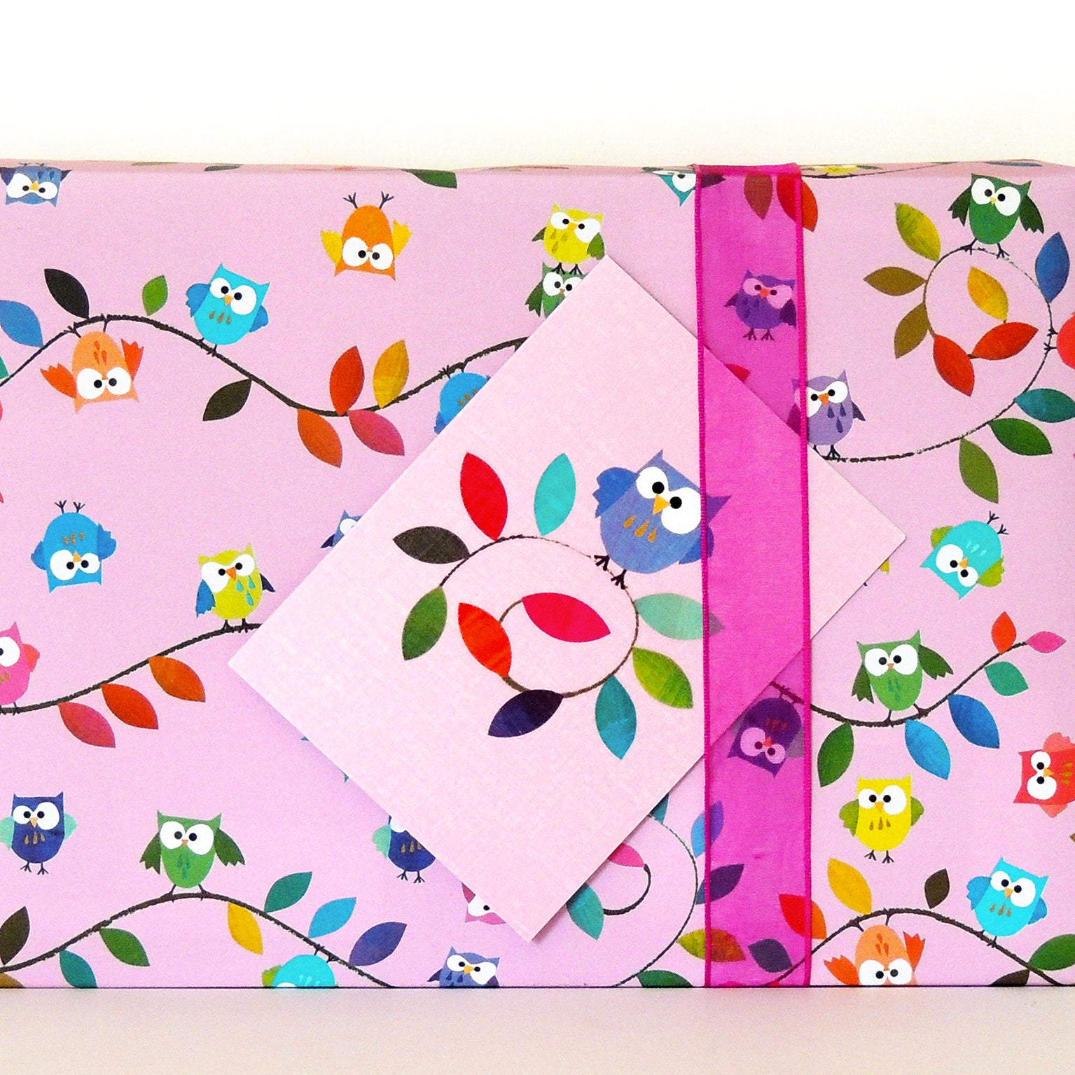 WP13 owls wrapping paper