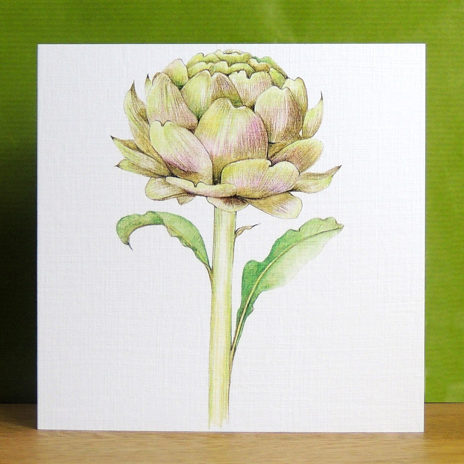 PK16 mixed botanical greetings card pack 3