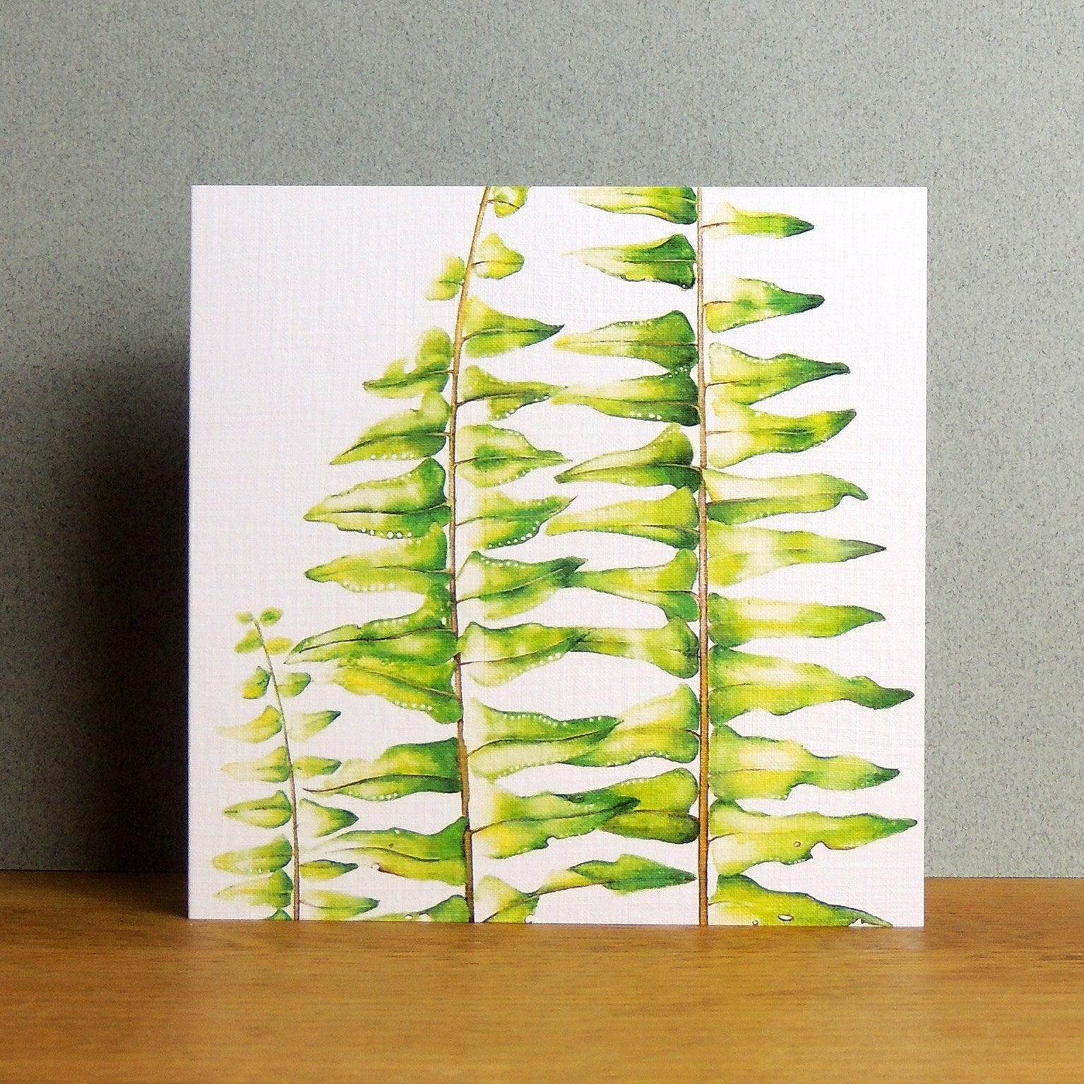 BTPK4 mixed botanical greetings card pack 4
