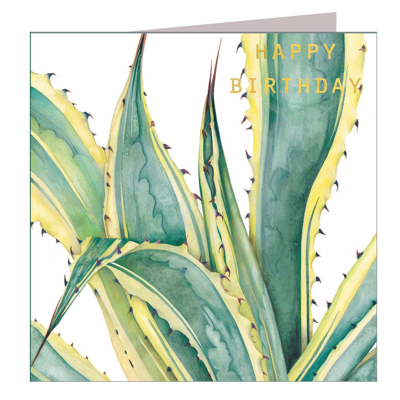 GBT04 gold foiled agave birthday card