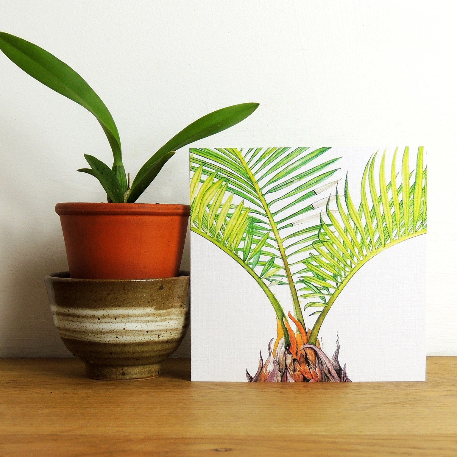 BTPK4 mixed botanical greetings card pack 4