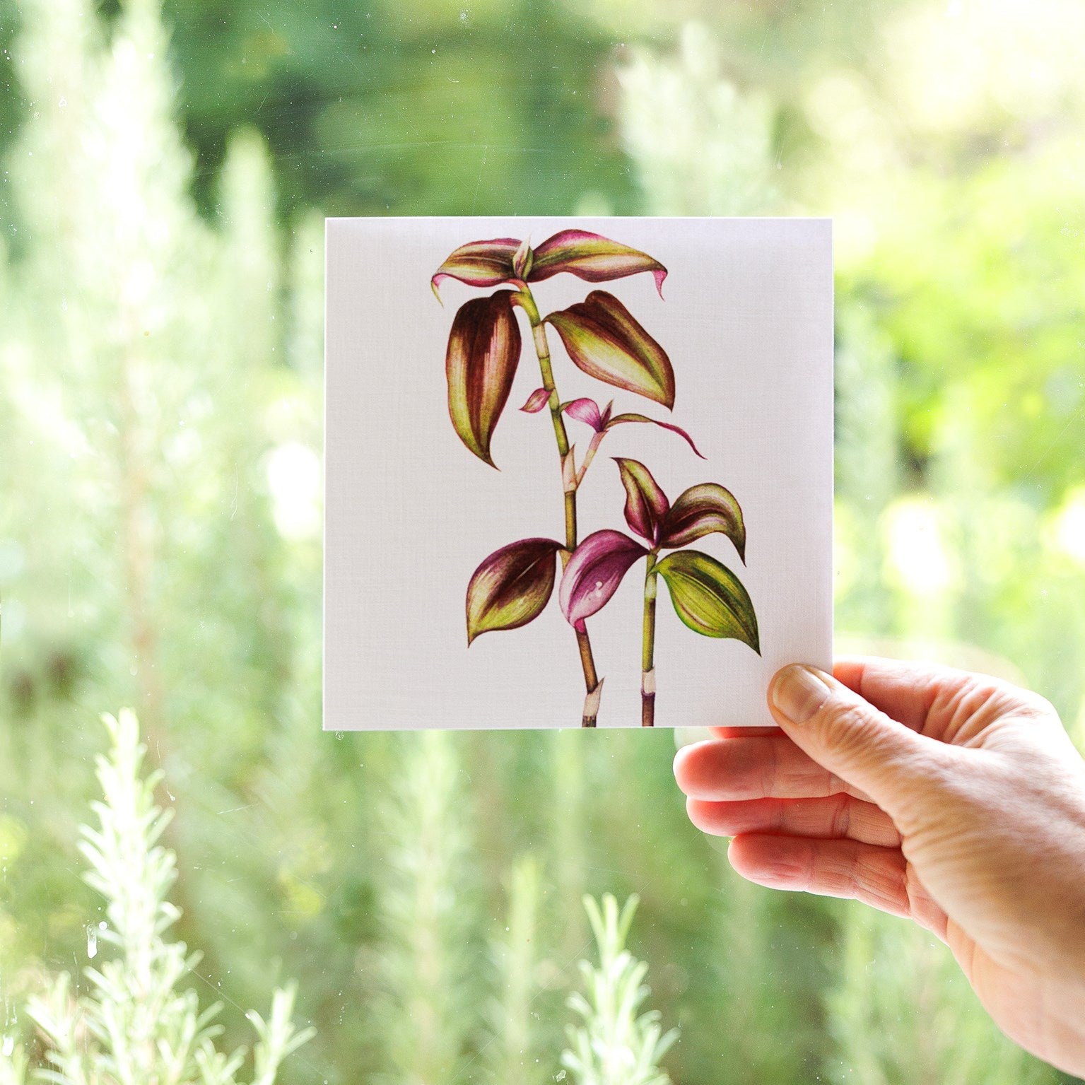 PK16 mixed botanical greetings card pack 3