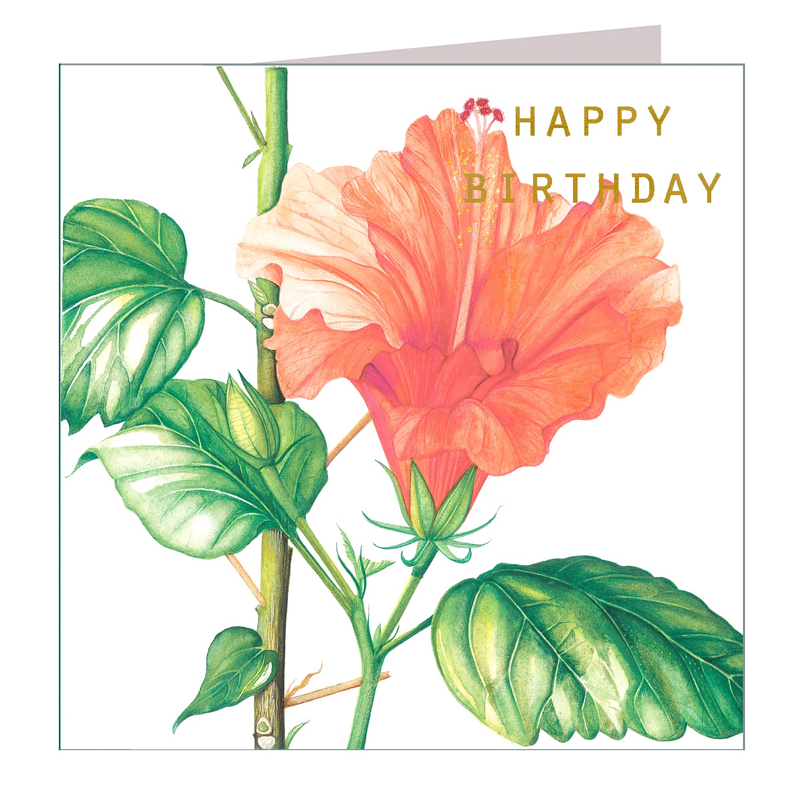GBT10 gold foiled hibiscus birthday card
