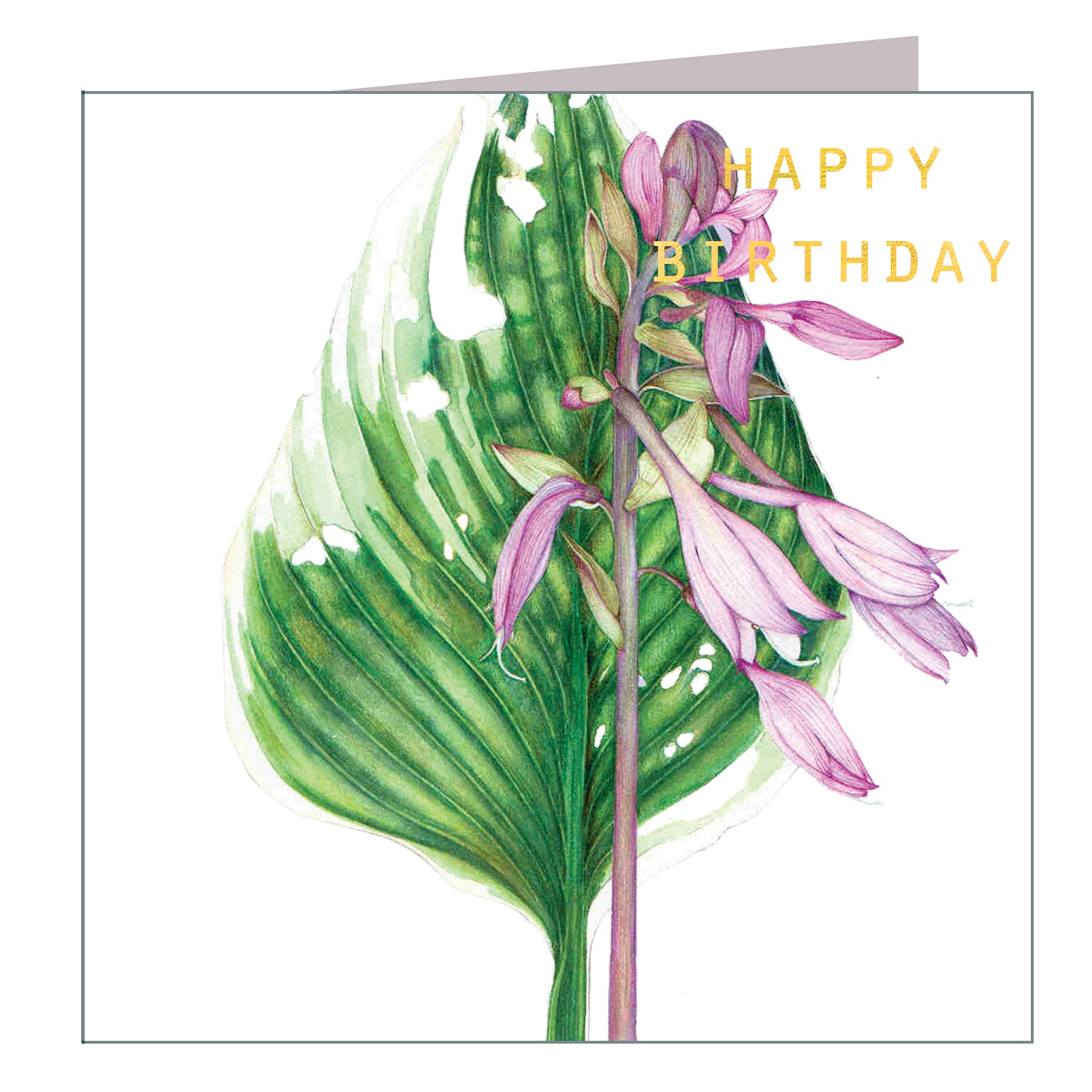 GBT11 gold foiled hosta birthday card