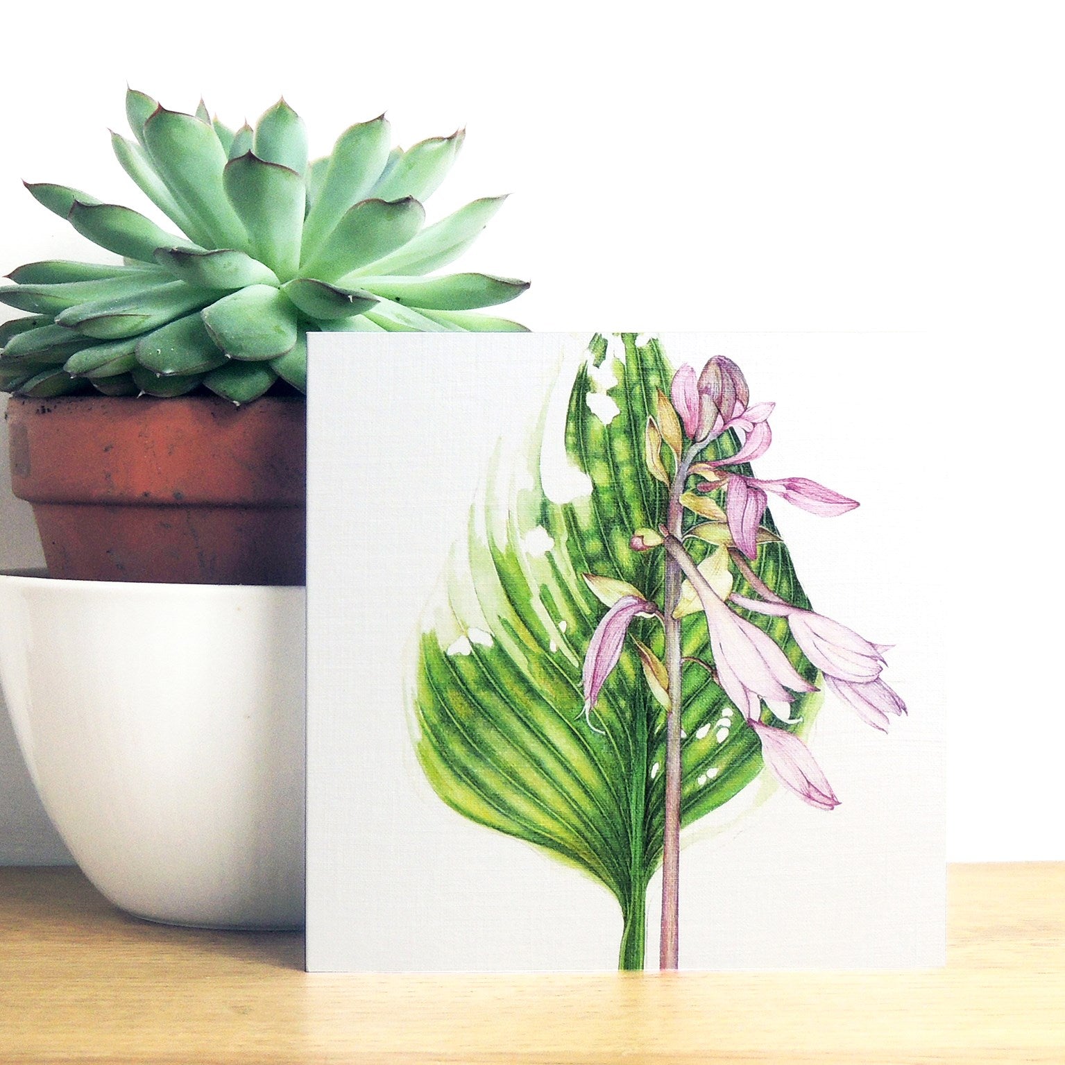 PK16 mixed botanical greetings card pack 1