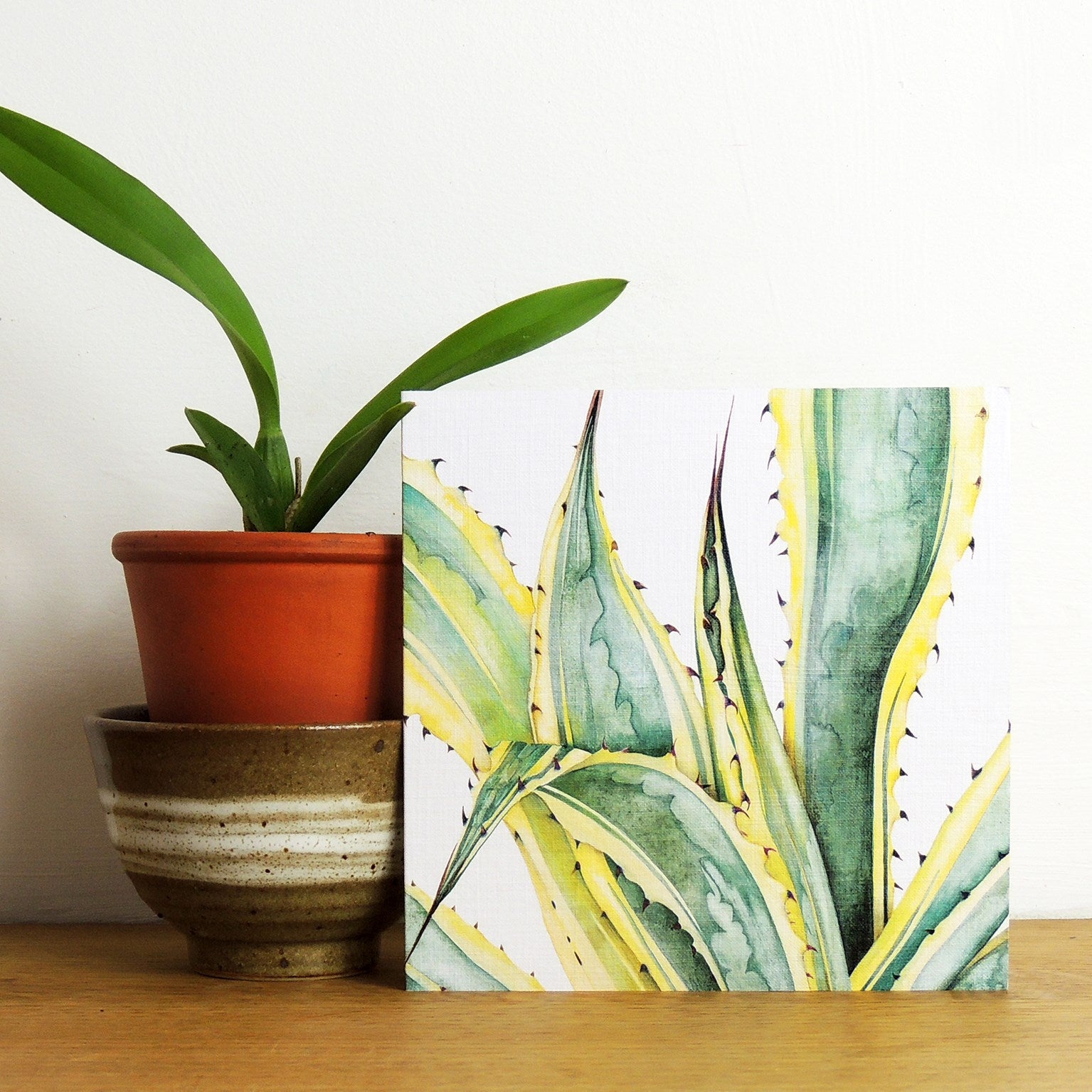 PK16 mixed botanical greetings card pack 3