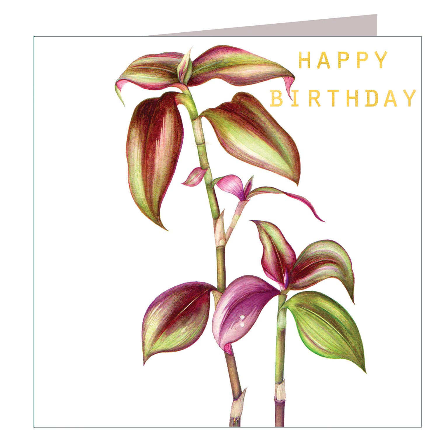 GBT23 gold foiled tradescantia birthday card