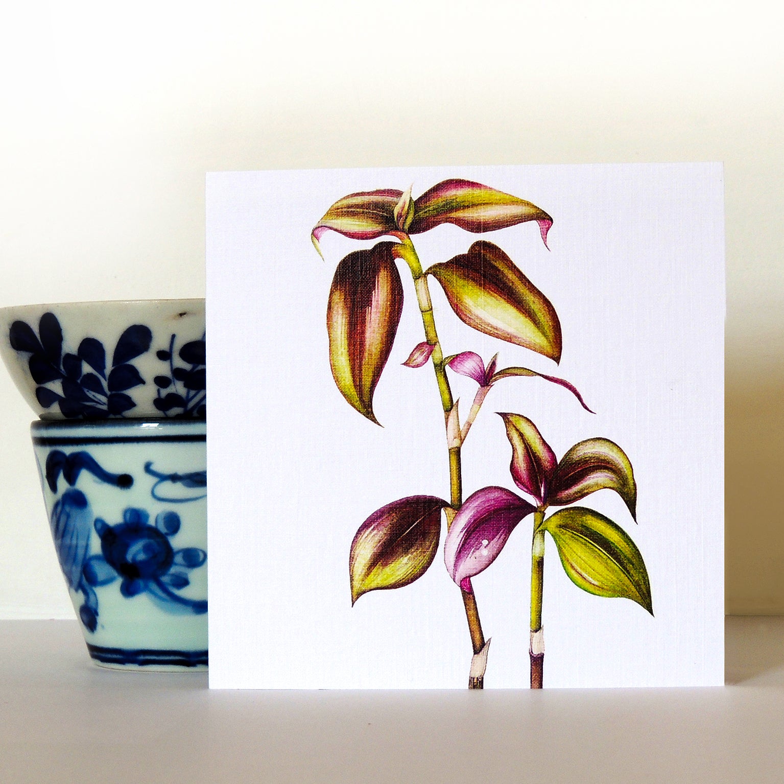 BT23 tradescantia greetings card