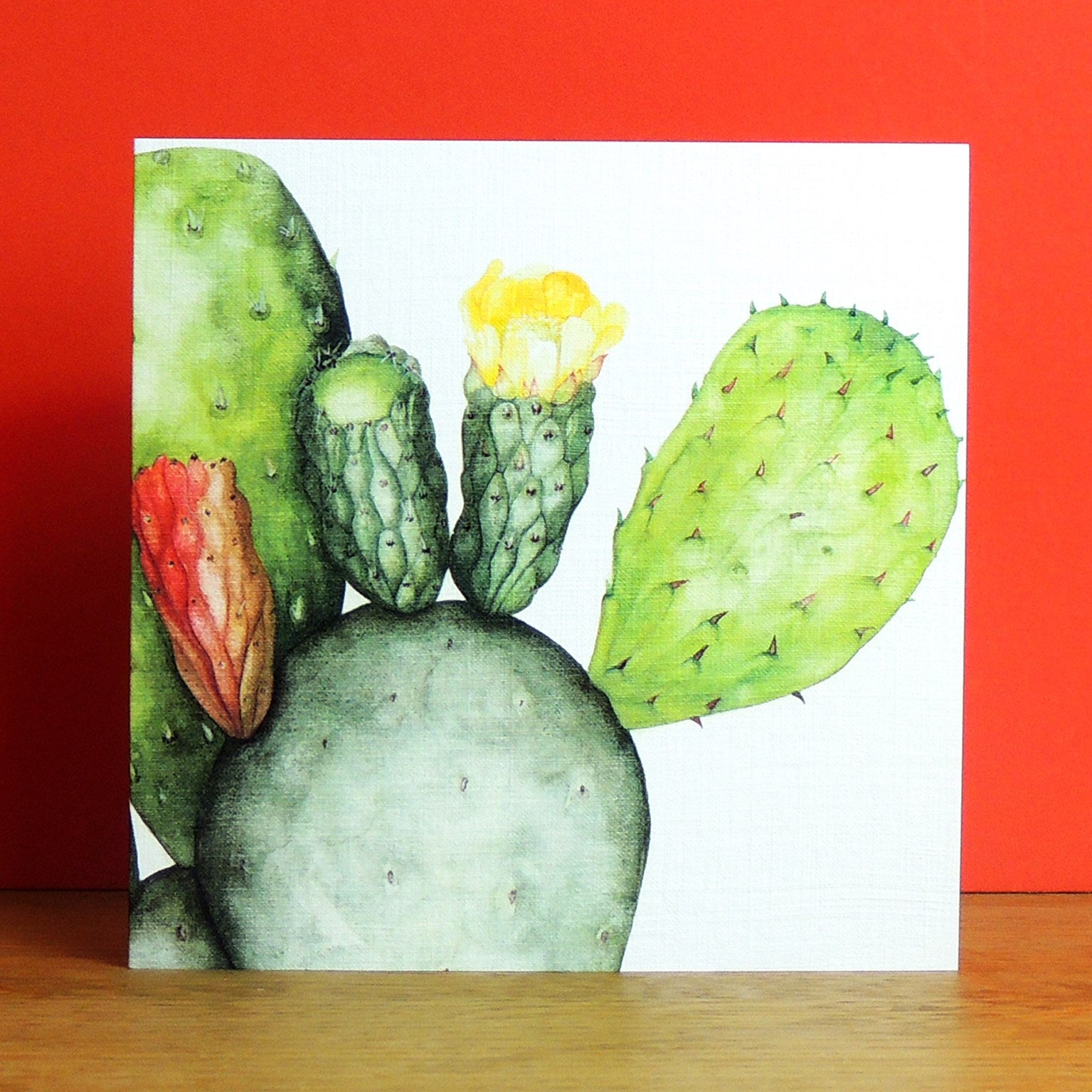 PK16 mixed botanical greetings card pack 3