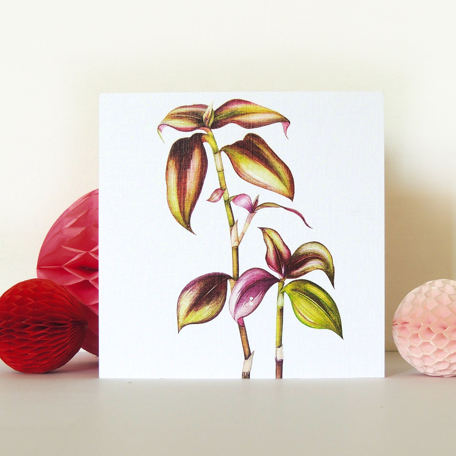 BT23 tradescantia greetings card