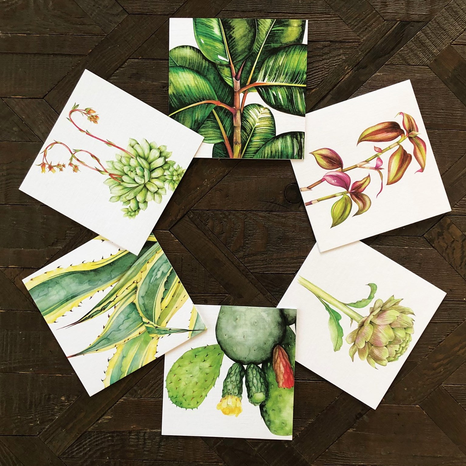 PK16 mixed botanical greetings card pack 3