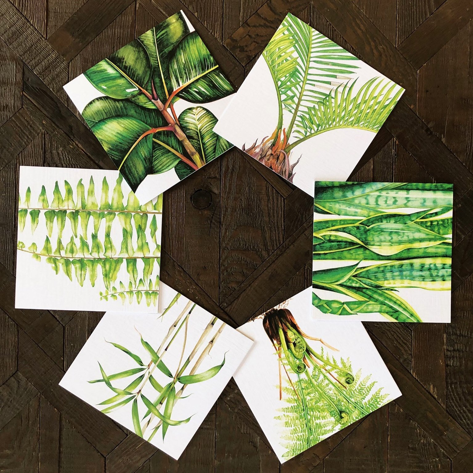 BTPK4 mixed botanical greetings card pack 4