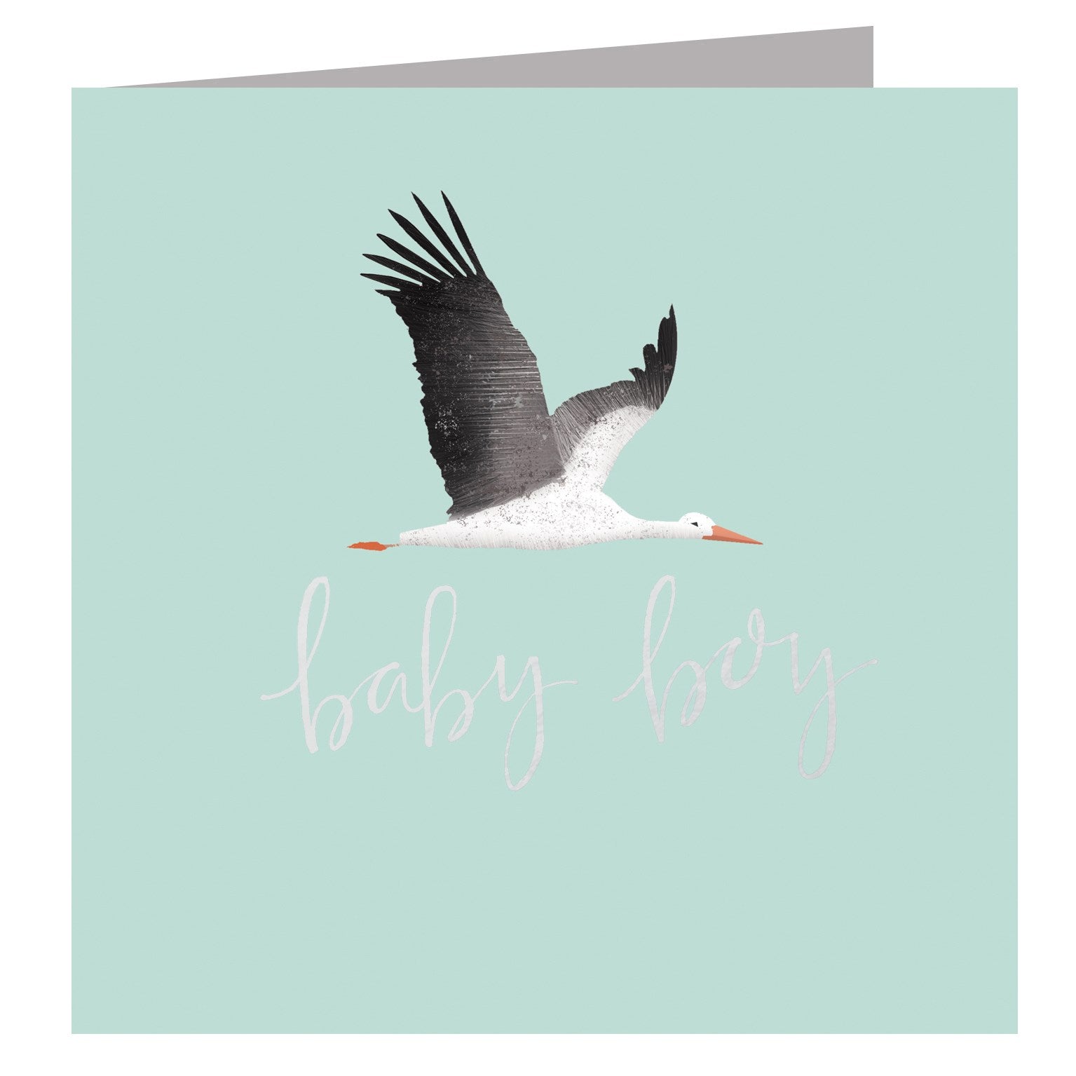 PG04 silver foiled blue stork new baby card