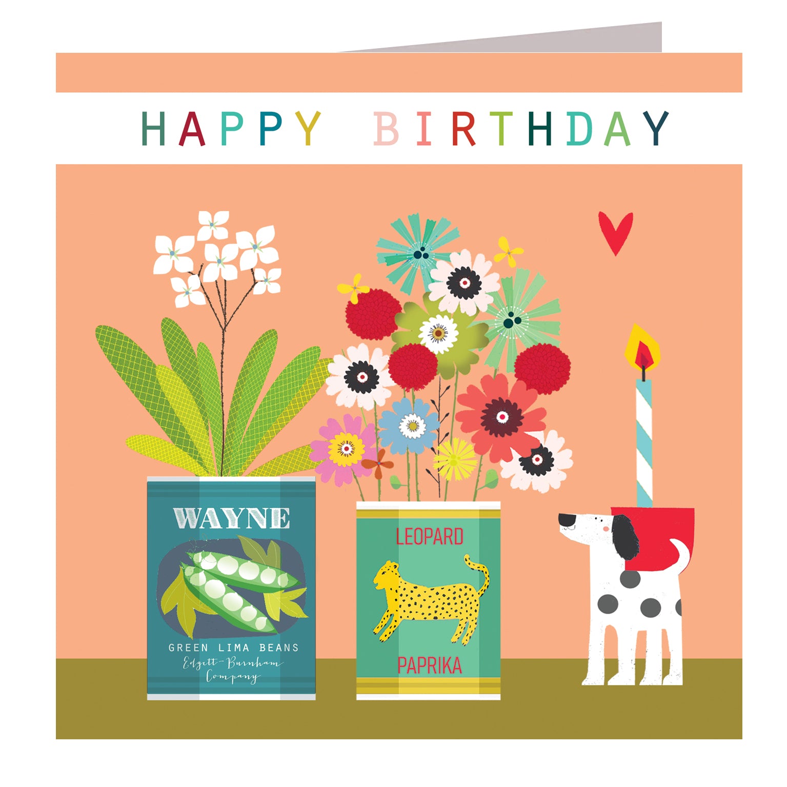 TC24 happy birthday greetings card